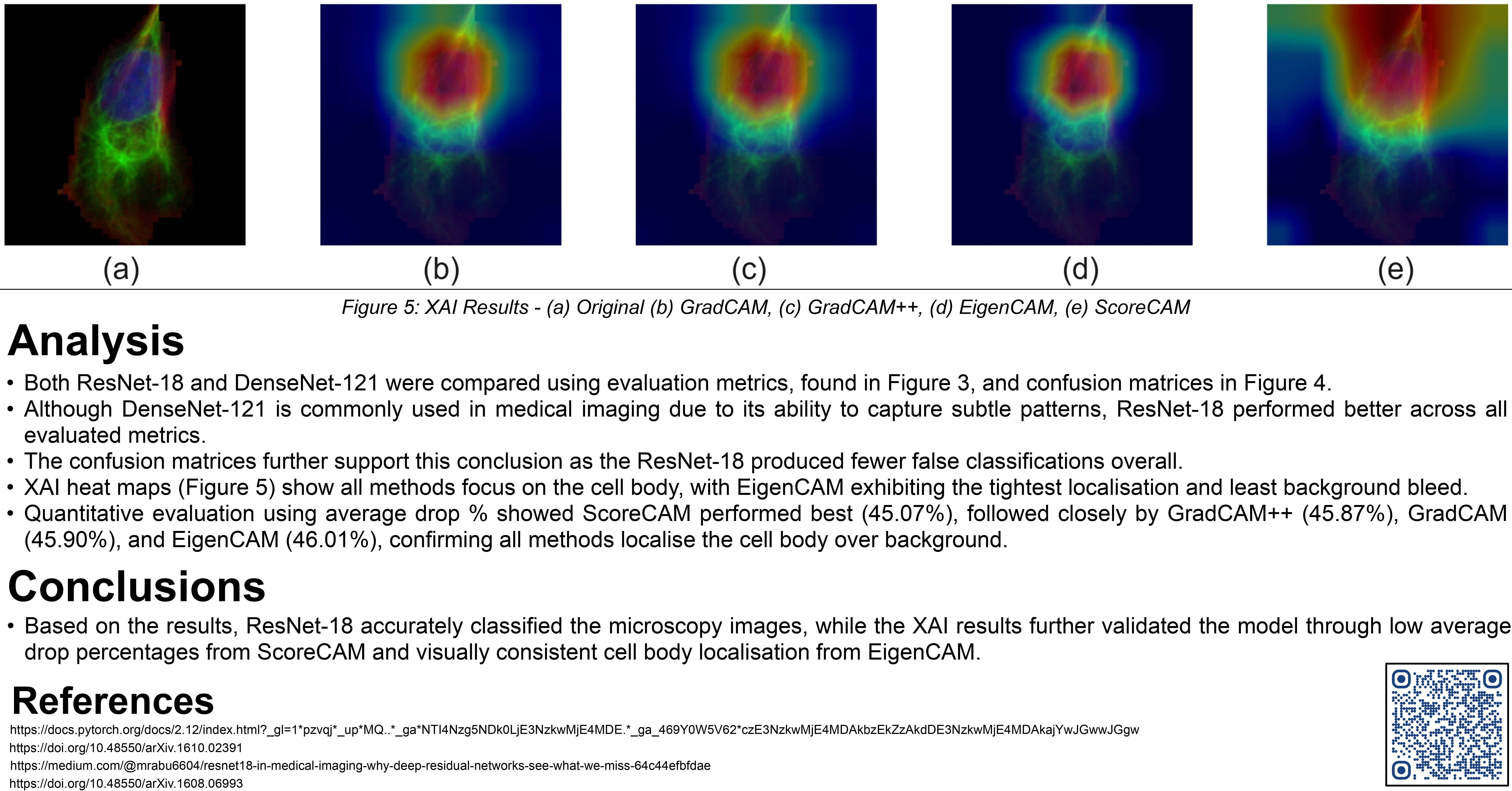XAI analysis and results